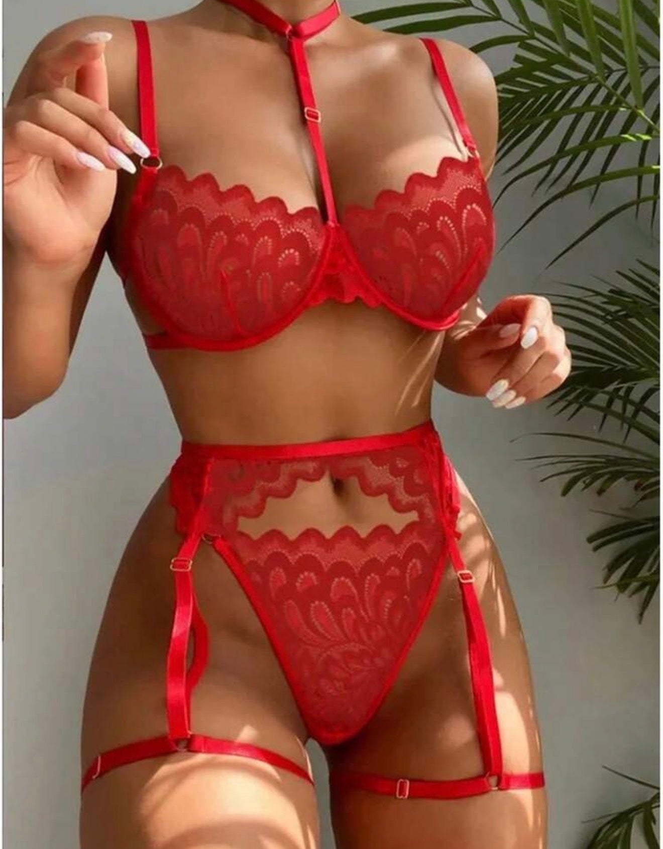 Liguero rojo Susan